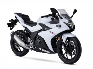 Wholesale 2017-2020 Suzuki GSX250R Motorcycle Fairing Kits - White Black Canada