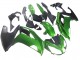 2005-2010 BMW K1200S Motorcycle Fairings - Green Matte Black Canada