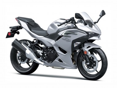 Wholesale 2024-2025 Kawasaki Ninja 500 EX500R Motorcycle Fairings - Metallic Silver Ninja Canada