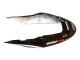 2004-2007 Honda CBR600 F4i Motorcycle Fairings - White Glossy Black Red Repsol Canada