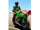 2011-2015 Kawasaki ZX10R Motorcycle Fairings - Green Yellow White Black Red Pirelli Canada