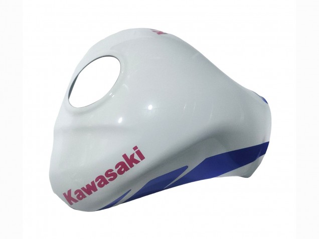 2021-2025 Kawasaki ZX10R Motorcycle Fairings - White Green Blue Black Canada