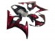 2005 Yamaha YZF 600 R6 Motorcycle Fairings - Black with Red Flame Canada