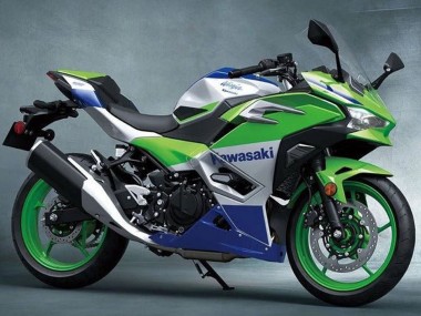 Wholesale 2024-2025 Kawasaki Ninja 500 EX500R Motorcycle Fairings - Silver Green Blue Canada