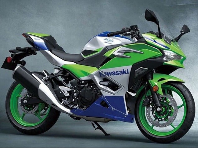 2024-2025 Kawasaki Ninja 500 EX500R Motorcycle Fairings - Silver Green Blue Canada
