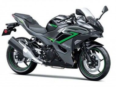 Wholesale 2024-2025 Kawasaki Ninja 500 EX500R Motorcycle Fairings - Black Grey Green Canada