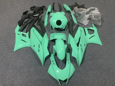 Wholesale 2019-2021 Yamaha YZF R3/R25 Motorcycle Fairings - Light Green Canada